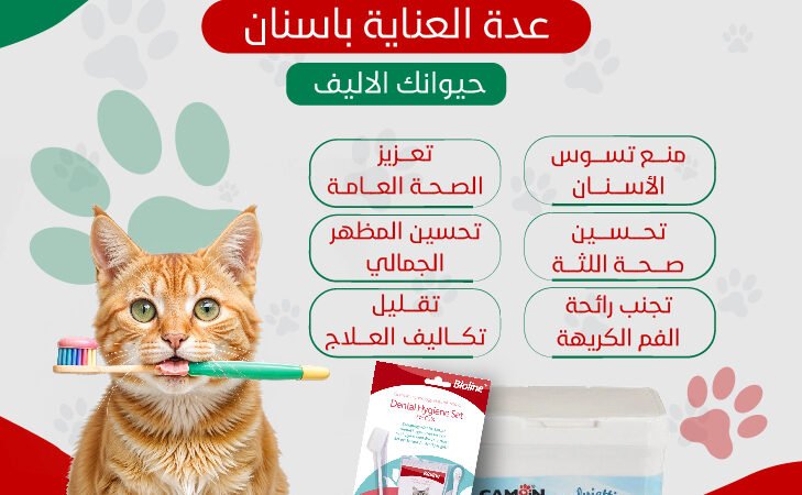 سوشيال ميديا — أعمال مختارة