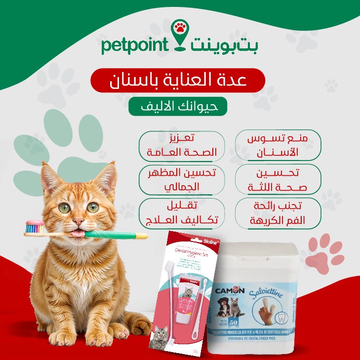 سوشيال ميديا — أعمال مختارة